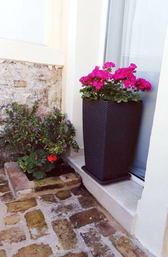 Anemomilos Jacuzzi Suite Corfu  Exterior photo